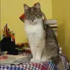 Отзыв от Любовь Рябинина
